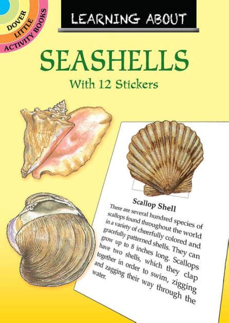 Download Learning About Seashells By Sy Barlowe