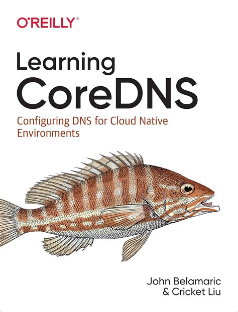 Read Learning Coredns Configuring Dns For Cloud Native Environments By John Belamaric
