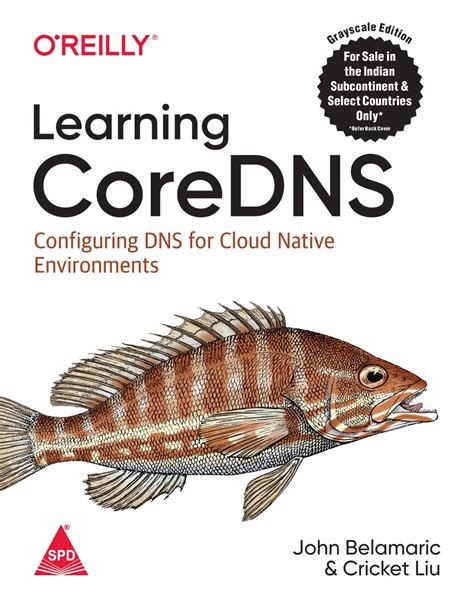 Read Learning Coredns Configuring Dns For Cloud Native Environments By John Belamaric