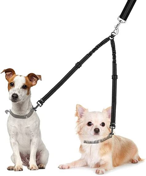 Leash Onlyfans Leak