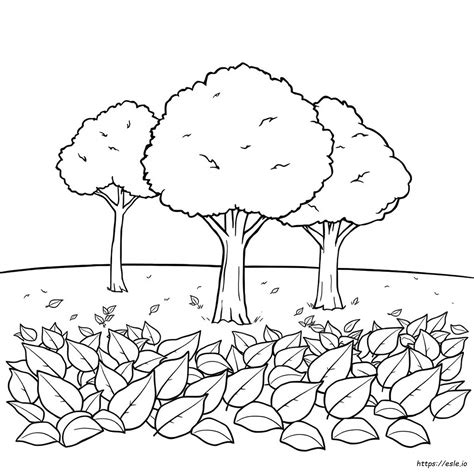 Adult Coloring Book Beach