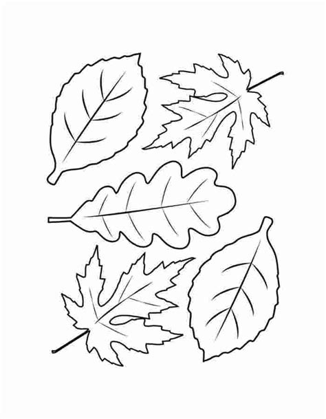Leaves Coloring Shee