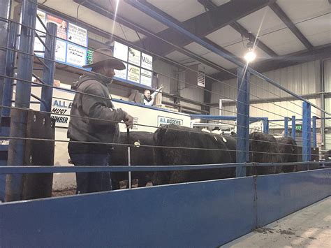 Apr 2, 2021 · Weekly Thursday Livestock Auction Next Auctions: Feeder Sale, Thursday April 8th 1:00PM Click the link below to see the... LEBANON AUCTION YARD, INC. Capital Press - LEBANON AUCTION YARD, INC.