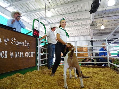 Lebanon valley livestock auction. Things To Know About Lebanon valley livestock auction. 
