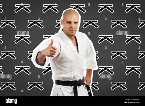 Lebenswichtige beinlinge 65 beinlinge für jujitsu judo sambo und gemischt. - 2011 triumph daytona 675 owners manual.