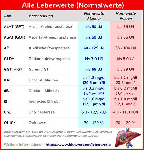 Leberwerte-Tabelle - alle Normalwerte - Blutwert