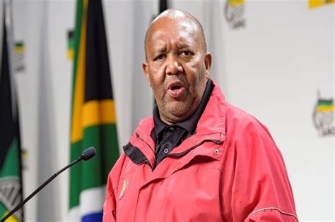 Lechesa Tsenoli Biography: Qualifications, Parliament ...