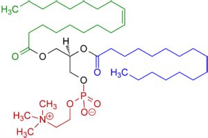 Lecithine - Wikipedia