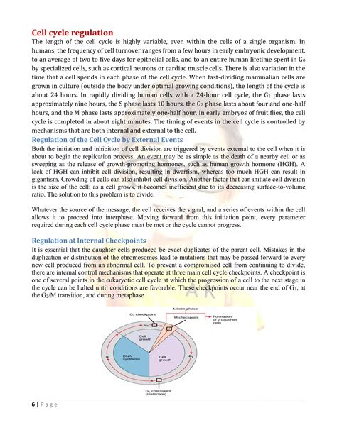 Lecture 18 cell cycle and its regulation converted PDF Worksheets