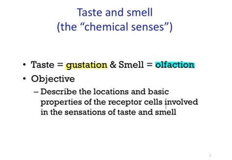 Lecture 22: Taste & Smell Flashcards Quizlet