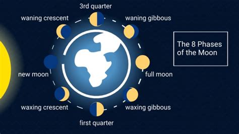 Lecture 8 The Phases of the Moon