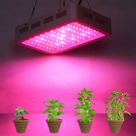 Led Grow Light Latest Price From Top Manufacturers, Suppliers