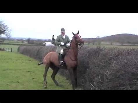 Ledbury Hunt - Some more hedge hopping action from last.