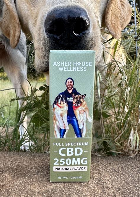 Lee Asher Cbd For Dogs