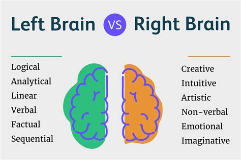 Left brain vs right brain Characteristics functions and myths