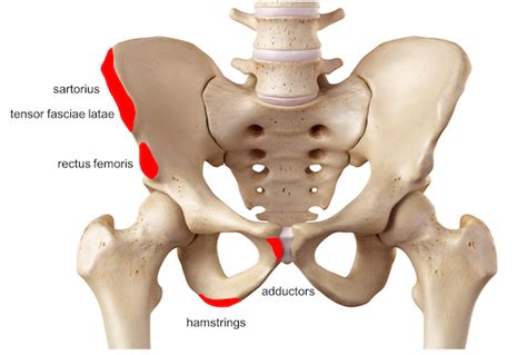 Left pubic rami fracture icd 10. Things To Know About Left pubic rami fracture icd 10. 