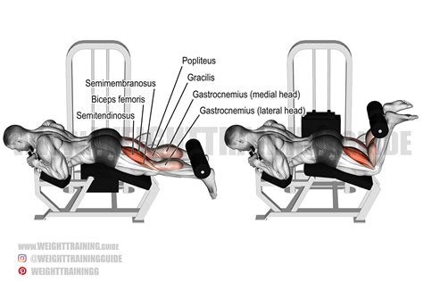 Leg Curls 2 0