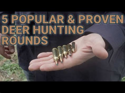 Legal Deer Hunting Calibers In Indiana - isalegal