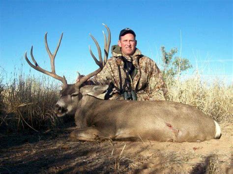 Legendary Sonoran Desert Muley