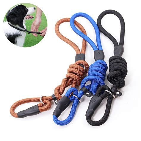 Legislator dangled pooch using leash as a loop and suffocated it to perish