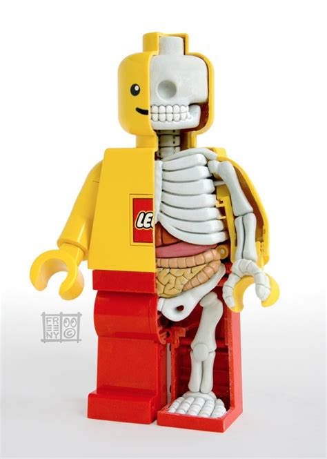 Lego anatomy. Lots of lego fans would like a large scale, brick-built minifigure, but then they would not need the inside organs. Plus, the anatomy is not that specific to a minifigure (which can be positive or negative) but I imagine a lot of fans would prefer to see what a lego minifigure's anatomy looks like, not a model of the human body in Lego form. 