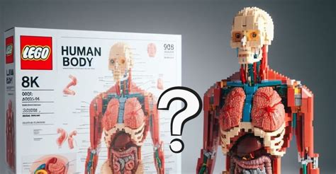Lego human body. Things To Know About Lego human body. 