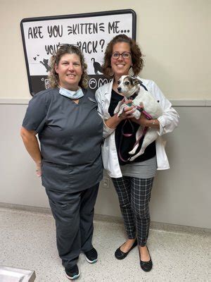 Lehigh Valley Animal Hospital Vet Services