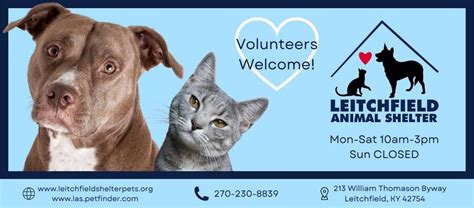 Leitchfield animal shelter. Dog Licenses. Effective Thursday February 1, 2024 the Lehigh Valley Humane Society will no longer sell or distribute annual dog licenses. See our Resource Page for how to obtain a license online or in person. ... Shelter Hours of Operation: Monday: 11am-4pm Tuesday: 2pm-7pm Wednesday: 11am-4pm 