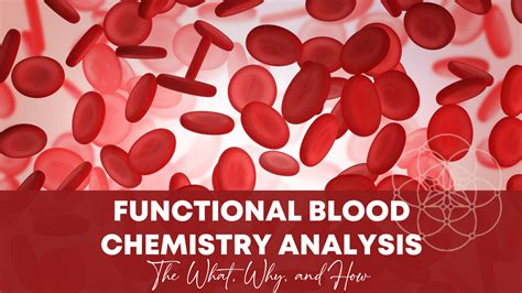 Leitfaden zur analyse der blutchemie reference guide to blood chemistry analysis. - Antigone by sophocles study review guide answers.