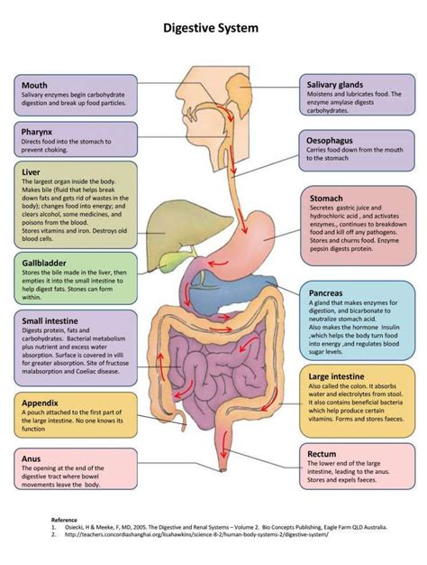 Leitfaden zur untersuchung des verdauungssystems unit f digestive system study guide. - The insiders guide to writing for television insiders guide.