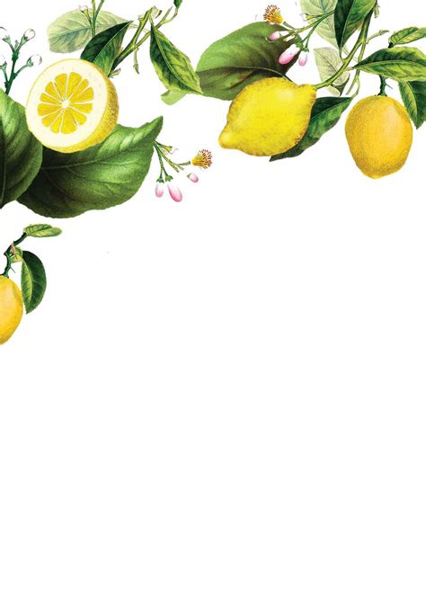 Lemon Invitation Template Free
