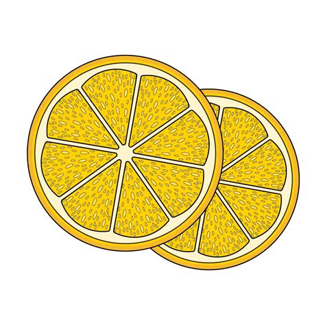 Lemon Slice Drawing