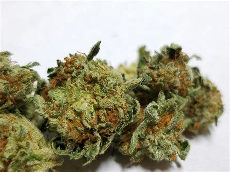  Banana Breath is 29% THC, making this strain an ideal choice for experienced cannabis consumers. Bred by unknown breeders, the average price of Banana Breath typically ranges from $10-$15 per gram. . 