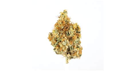 The California trademark was filed in early 2018. The name "Runtz" is a nod to the plant's yield, nug size, and its Zkittlez roots. A greenhouse of Runtz yields about 30% lower than the .... 