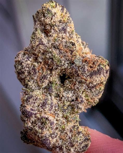 Lemon cherry candy strain. Anxiety. Cherry Garcia, also known as "Garcia's Cherry" and "Cherry Gar See Ya," is a hybrid marijuana strain made by crossing Animal Cookies with 3x Crazy. Consumers say this strain is balancing ... 