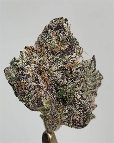 Lemon cherry terdz strain. 9D4 Strain Review Needed something heavy to help put me down, and it’s certainly done the job. THC: 32.67% CBD: 0.08% . . . #topshelfonly #wedontsmokethesame #oregonweed #weedporndaily … 