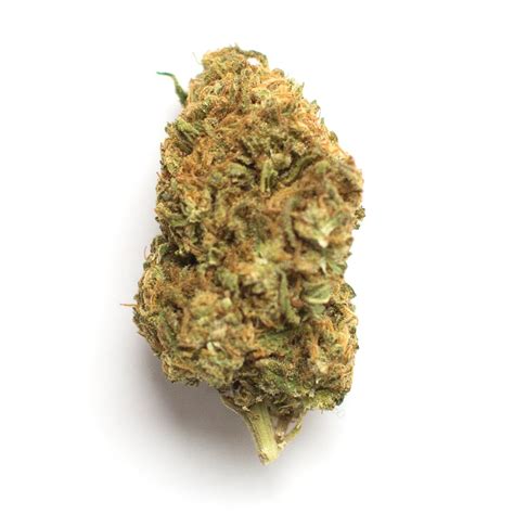 This strain is a fruity and spicy hybrid that has a sour and earthy flavor with hints of pine. Lollypop is 16-19% THC, making this strain an ideal choice for experienced cannabis consumers. Leafly ...