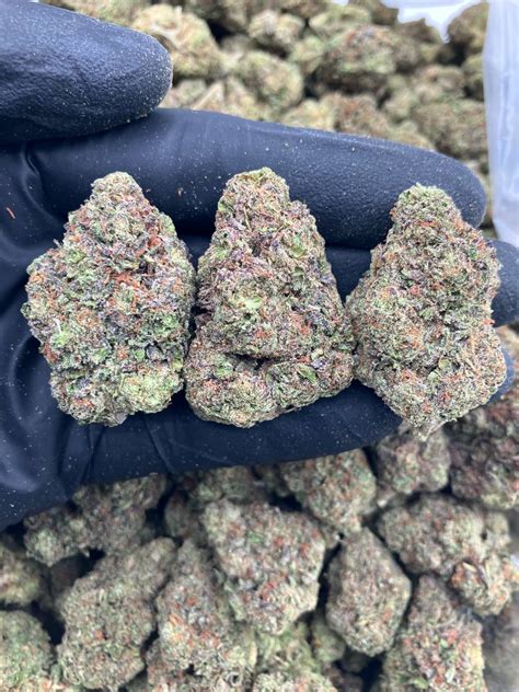 Get full info about Rainbow Zkittlez weed strain on AskGrowers. Learn effects, flavors, terpenes, the lineage and growing process of each strain with AskGrowers ... Flavor Lemon Similar Strains By Taste. Sativa-dominant Hybrid. Sequoia Strawberry. 6. THC 18.2 - 20.2% CBD 0.48 - 0.75% Effect Uplifted Flavor Sweet Indica-dominant Hybrid. Orange ...