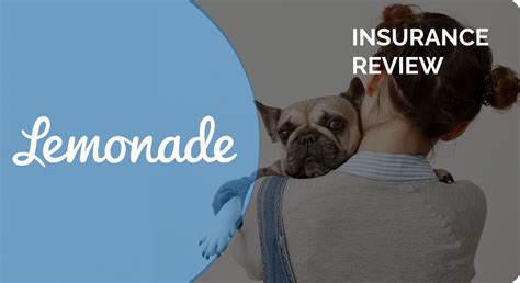 Lemonade Pet Insurance Reviews Reddit