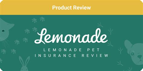 Lemonade pet insurance review. Insurance is one of the most crucial things to have. Having insurance can protect you and your family from surprises that could make you broke. Because of this, everyone should hav... 