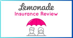 Lemonade offers term life insurance policies only—not who