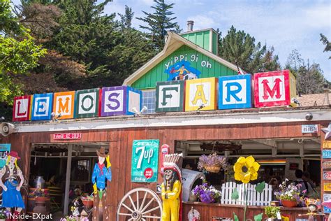 Lemos farm. Located in Half Moon Bay, CA, Lemos Farm is a working farm and themed amusement park home to the bay area's best pony rides, train rides, petting zoo, goat yoga and fall pumpkin patch. 