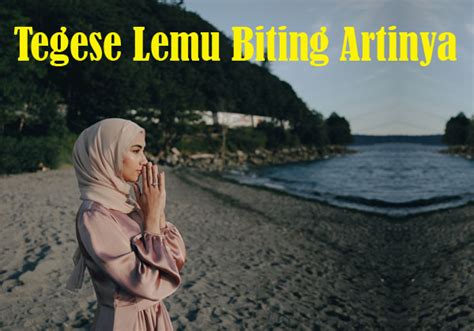 Lemu biting tegese artinya 【Pembaruan】