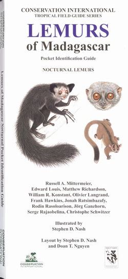 Lemurs of madagascar nocturnal lemurs conservation international pocket identification guide. - Cedulario del perú, siglos 16, 17 y 18, publicado por raúl porras barrenechea..