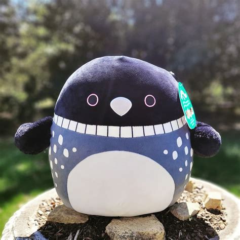 Lenora the loon squishmallow. 108K subscribers in the squishmallow community. Squishmallow Stuffed Friends: A safe place to post your collections, favorites, or questions you may… 