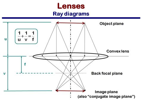 Lens Ray Diagrams exatin.info