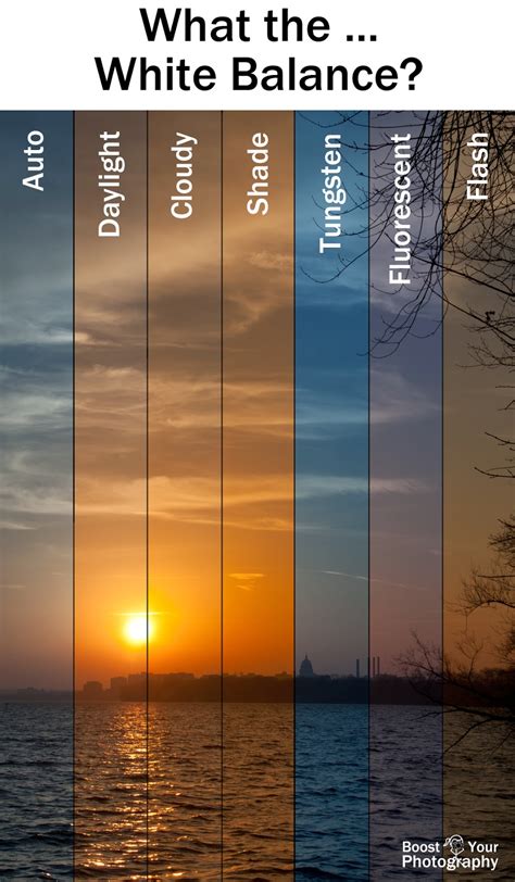Lens grid.  I typically use the white balance settings for sunny, cloudy, e...