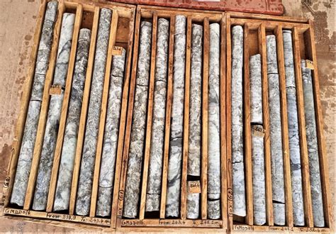 Leo Lithium Obtains Further High-Grade Drilling Results at …