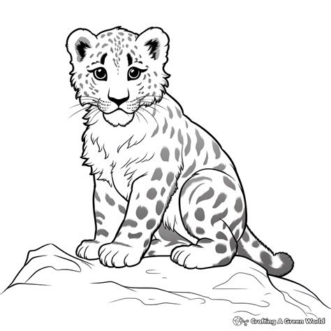 Leopard Coloring Shee