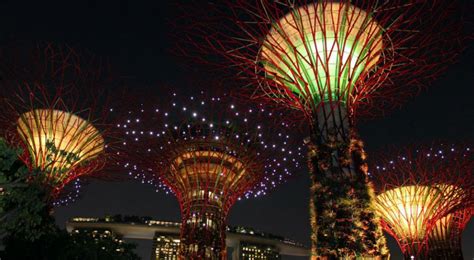 Les Arbres Du Futur Guide Descriptif Et D Utilisa